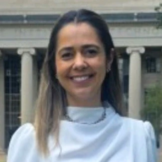 Ana Luisa Borges